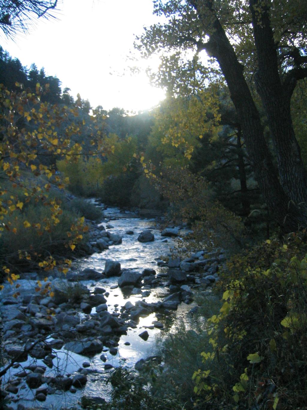 2004/10 Oct/1024x768_041008 boulder creek sunset.JPG